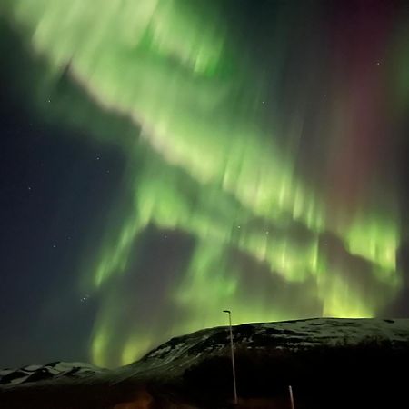 Stora-Asgeirsa Horse Farm Stay Vithigerthi ภายนอก รูปภาพ