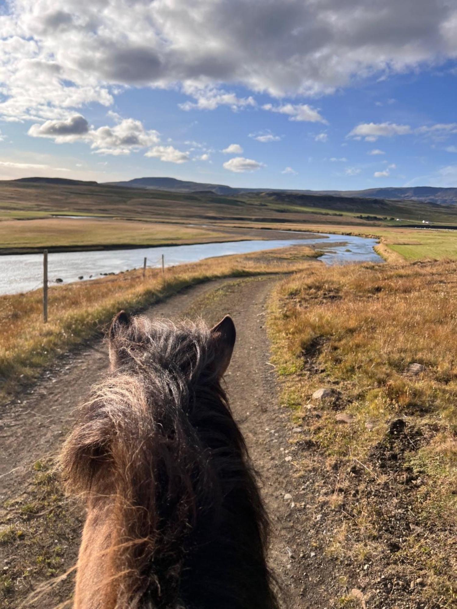 Stora-Asgeirsa Horse Farm Stay Vithigerthi ภายนอก รูปภาพ