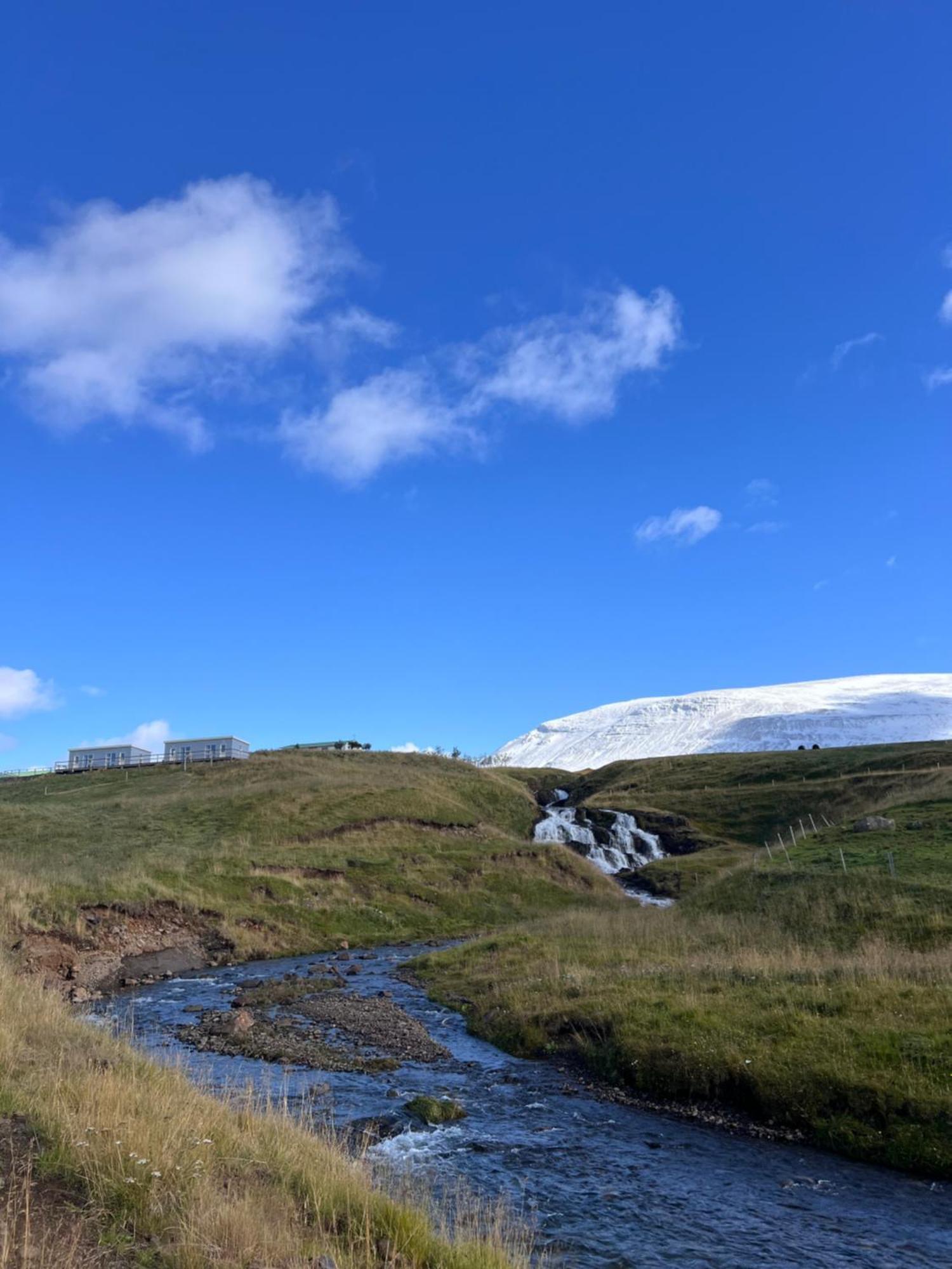 Stora-Asgeirsa Horse Farm Stay Vithigerthi ภายนอก รูปภาพ
