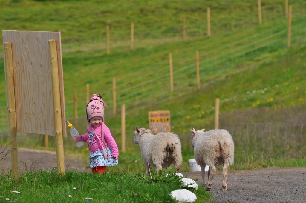Stora-Asgeirsa Horse Farm Stay Vithigerthi ภายนอก รูปภาพ