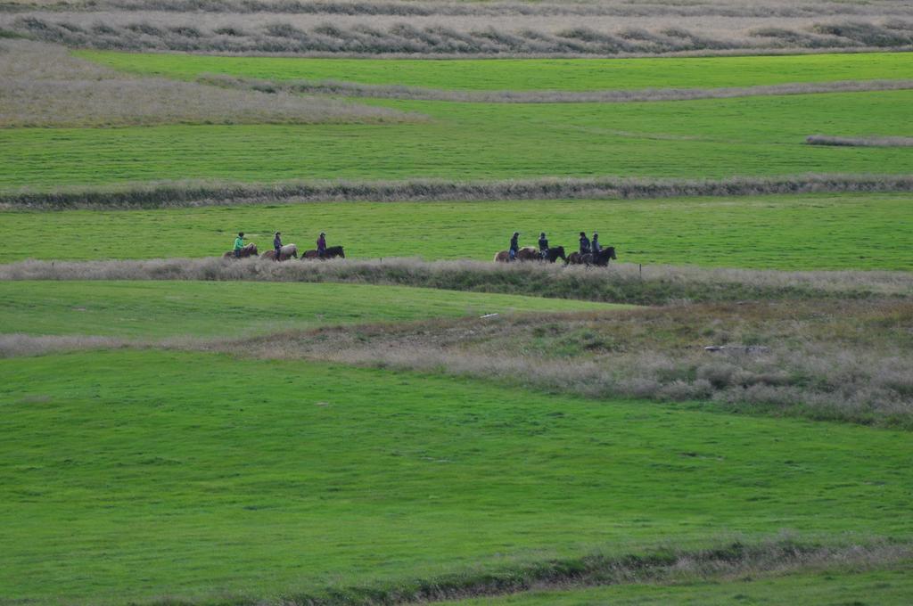 Stora-Asgeirsa Horse Farm Stay Vithigerthi ภายนอก รูปภาพ