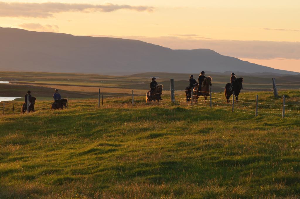 Stora-Asgeirsa Horse Farm Stay Vithigerthi ภายนอก รูปภาพ